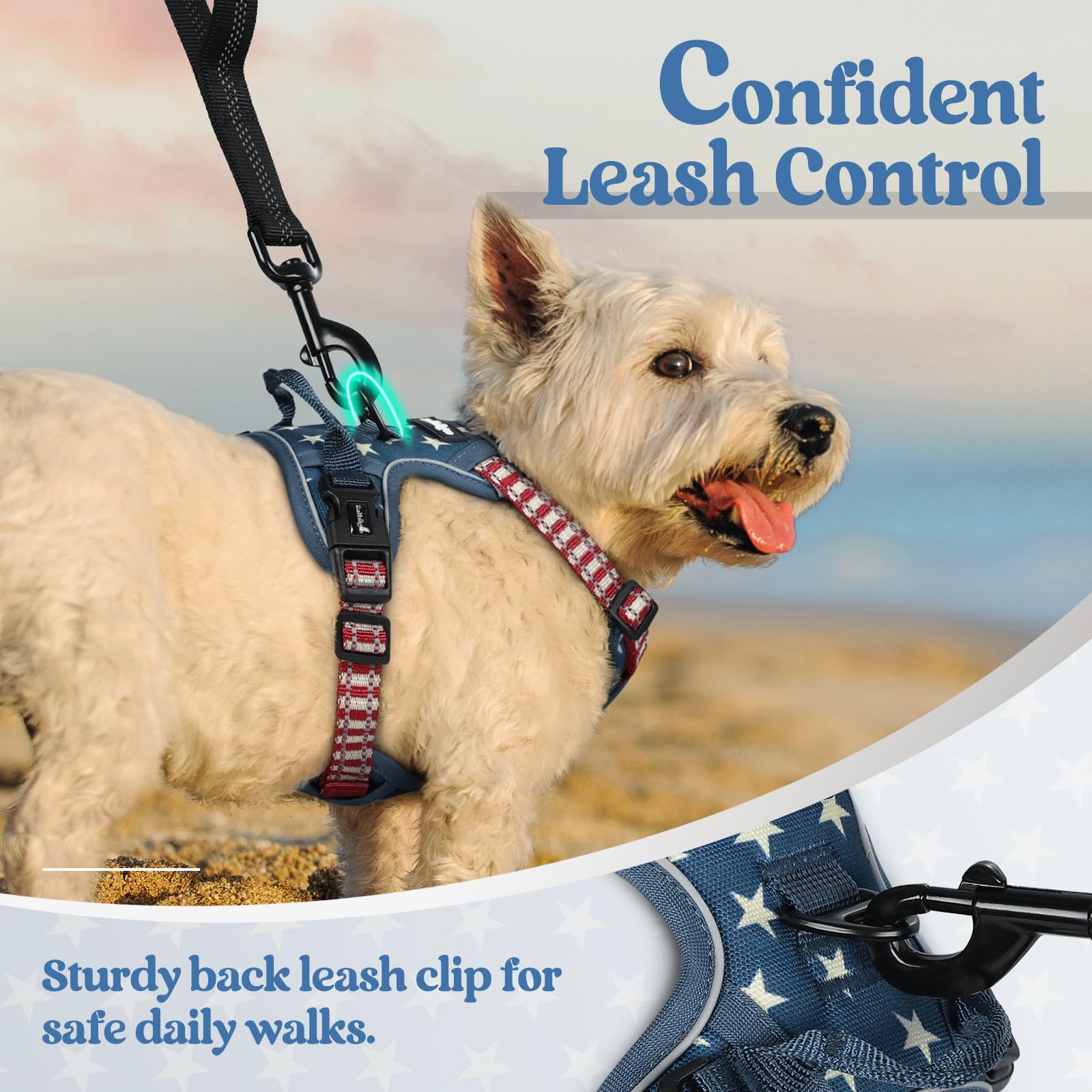 Rabbitgoo breathable air mesh blue star XS keeps dogs cool outdoors.