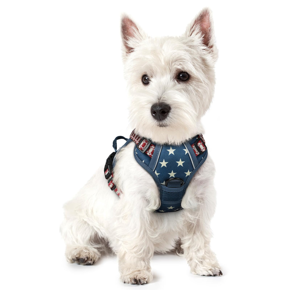 Rabbitgoo No-Pull harness blue star XS front view for safer controlled walks.