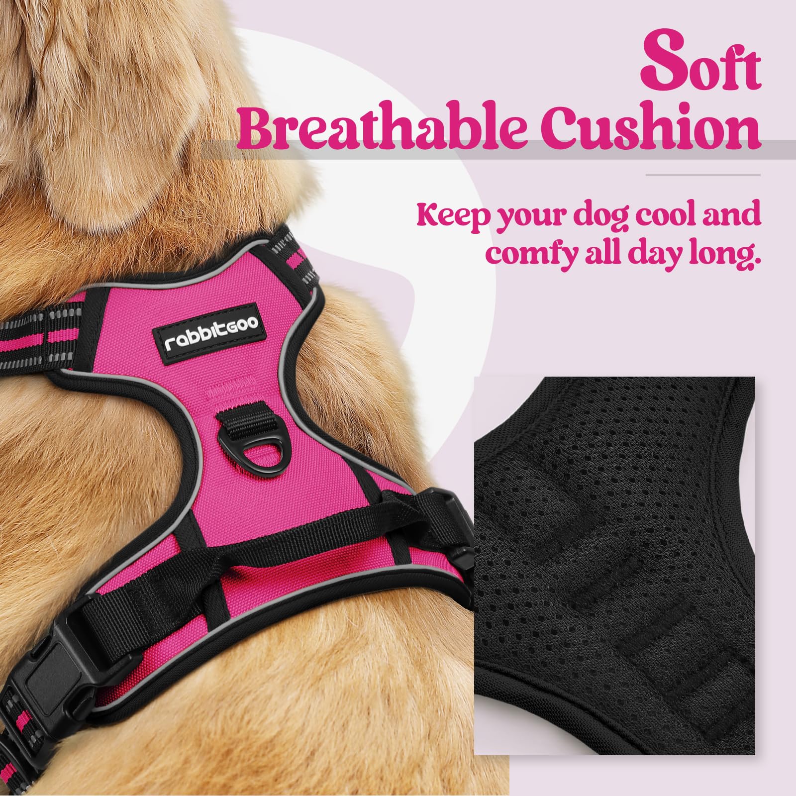 Rabbitgoo no-pull chest-clip harness reduces pulling during training sessions.