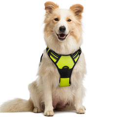 Rabbitgoo dog harness with no-pull front clip aids safer walks and training.
