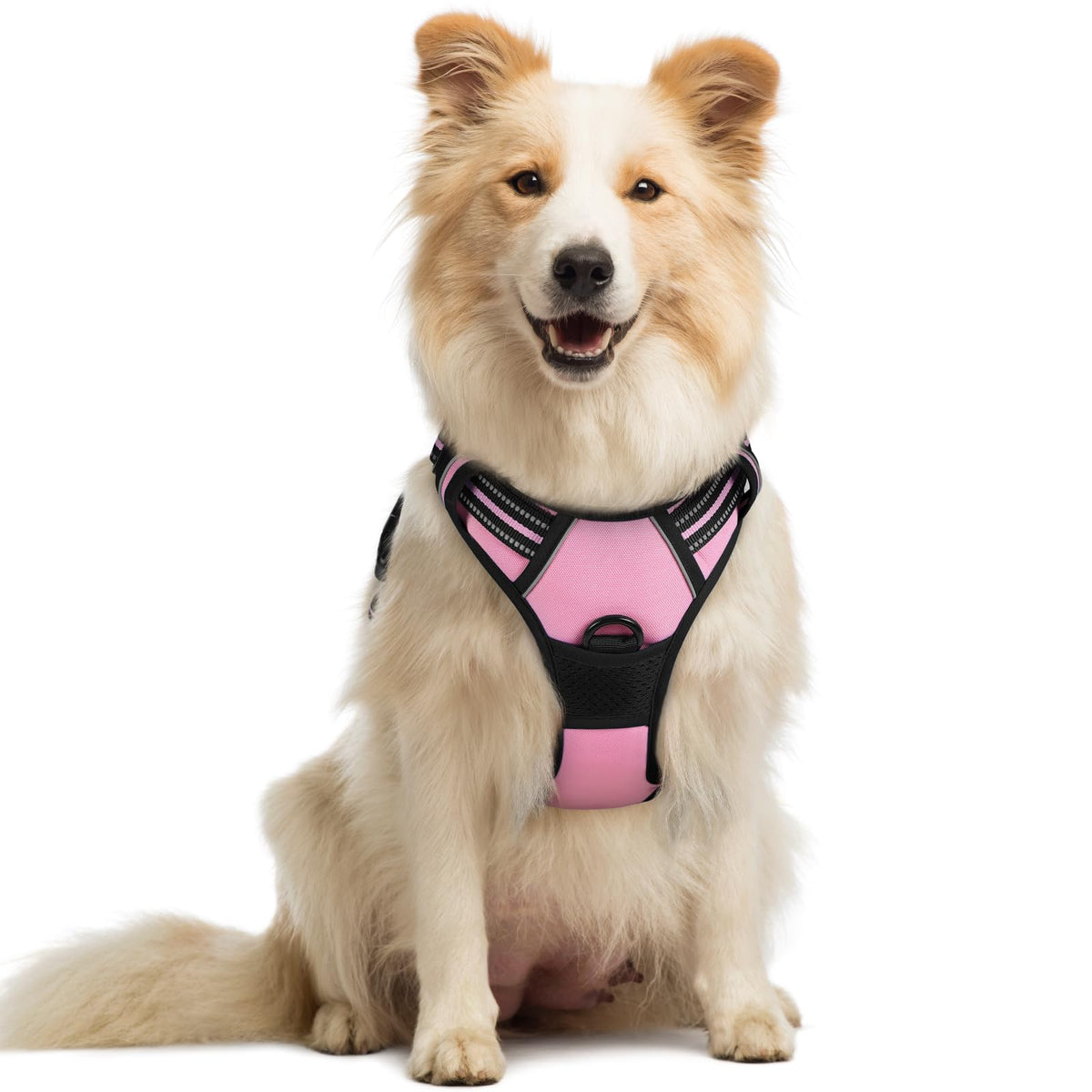 Rabbitgoo dog harness front-clip for no-pull training and safer walks