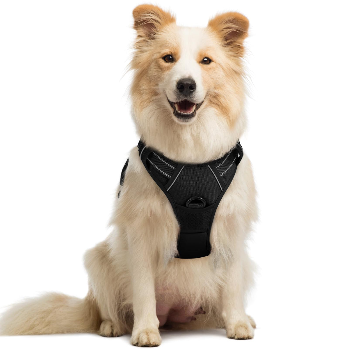 Rabbitgoo no-pull harness front clip reduces pulling during walks