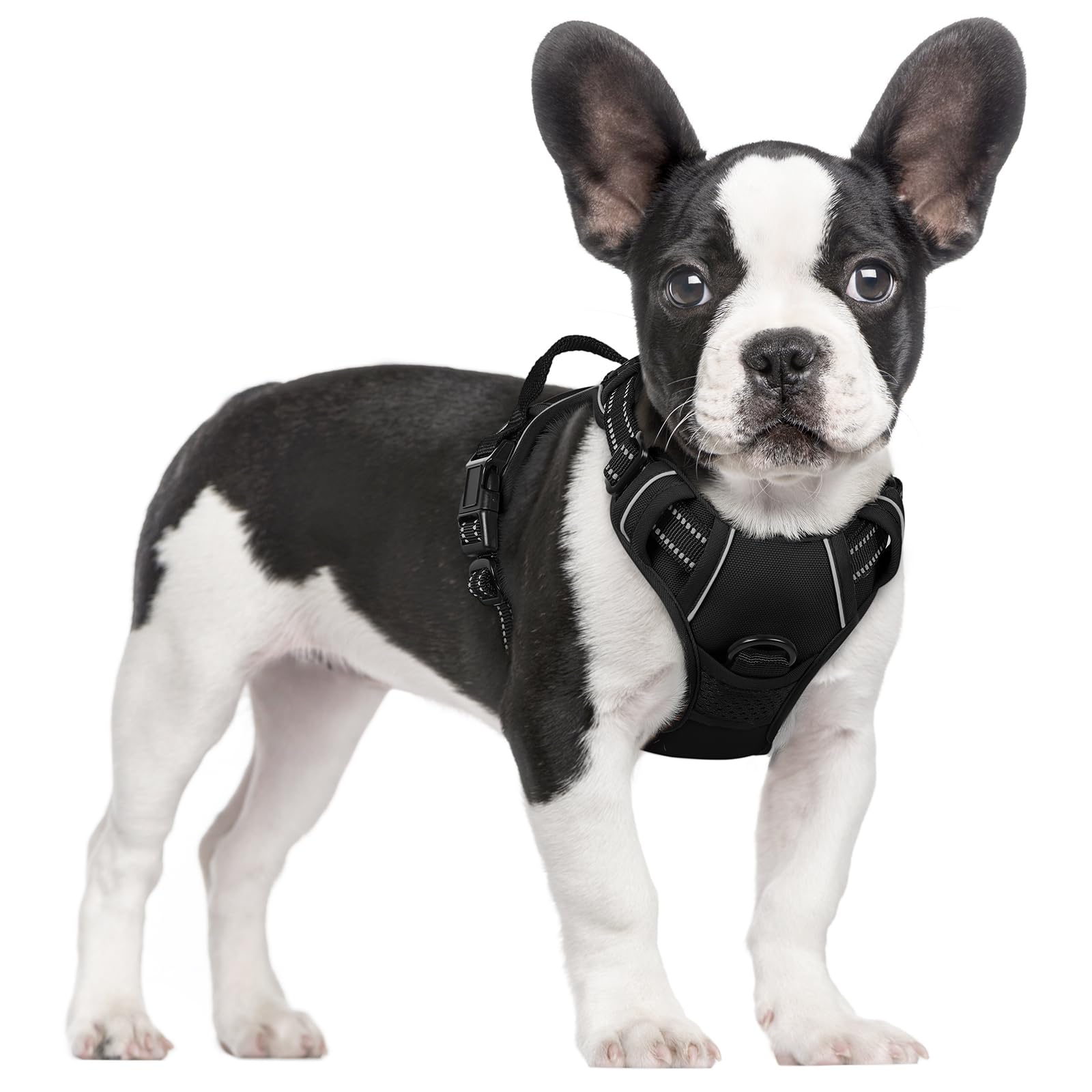 Rabbitgoo dog harness No Pull front view with reflective straps for safer night walks