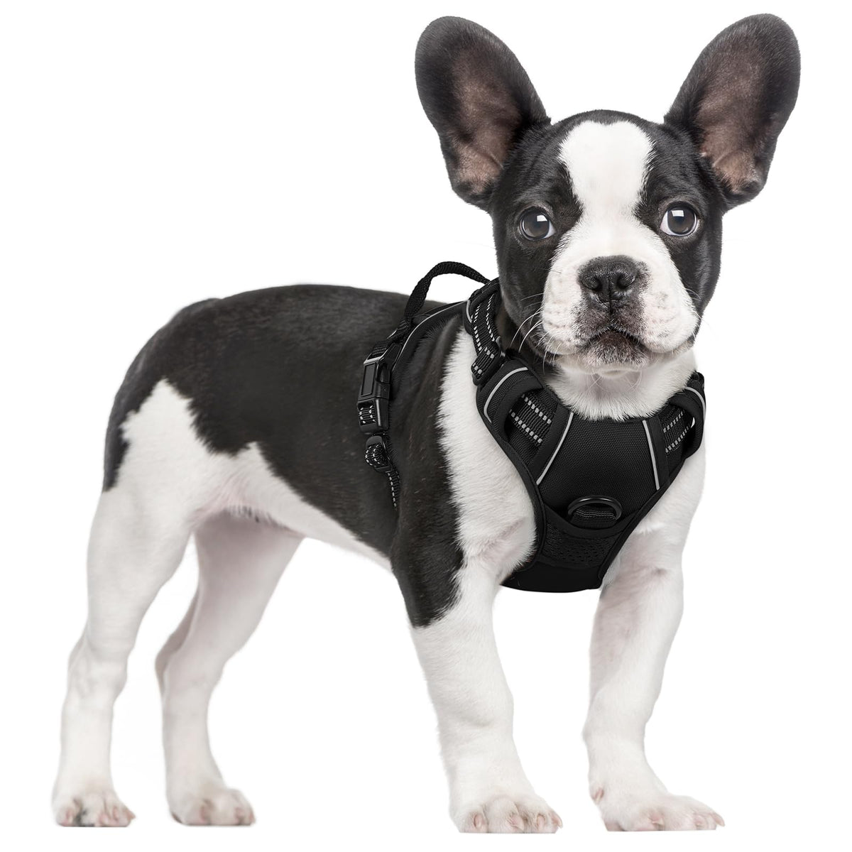 Rabbitgoo dog harness No Pull front view with reflective straps for safer night walks