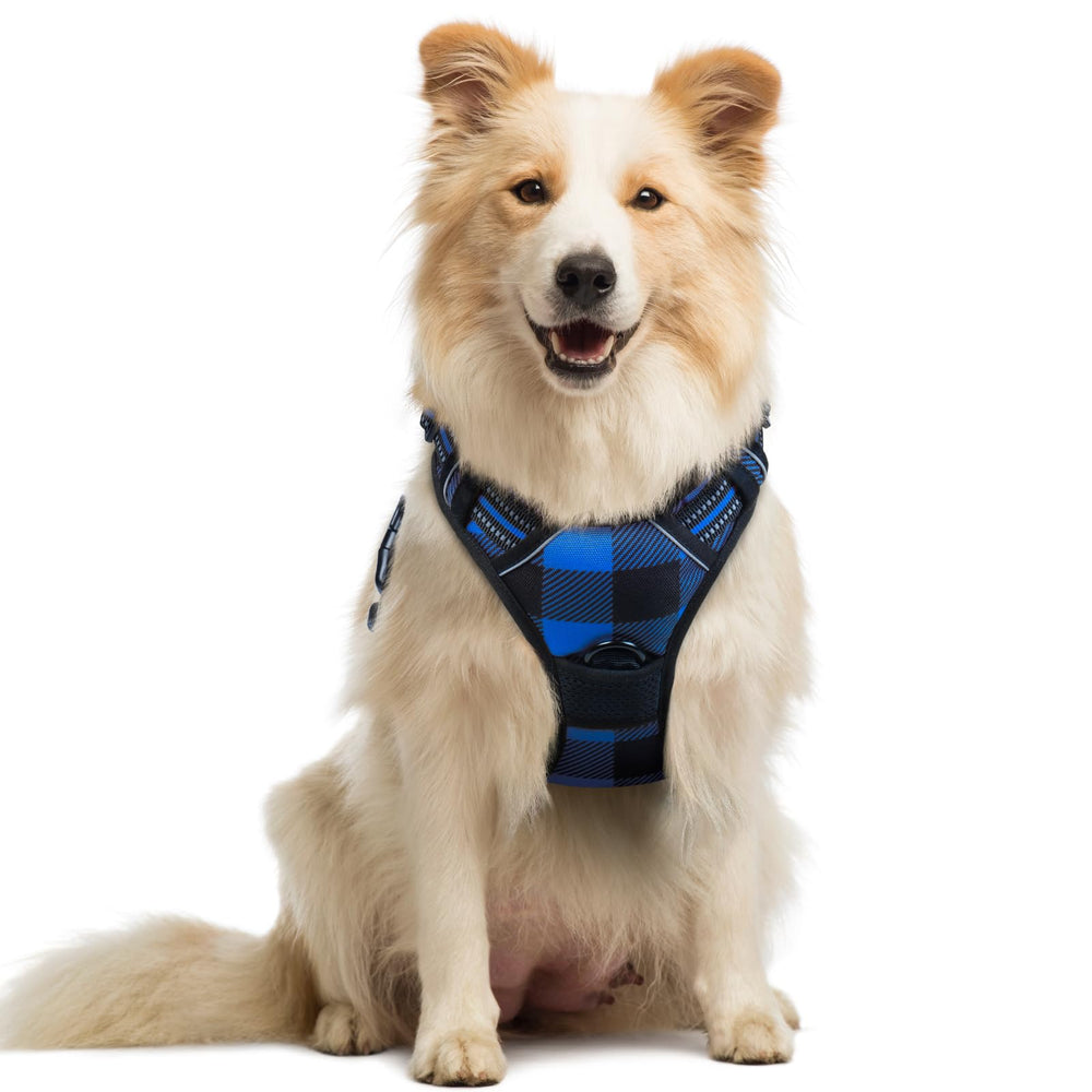 Rabbitgoo No-Pull dog harness front view with dual leash clips for safer walks