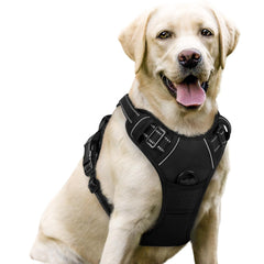 Rabbitgoo No-Pull harness front view with dual leash clips for control