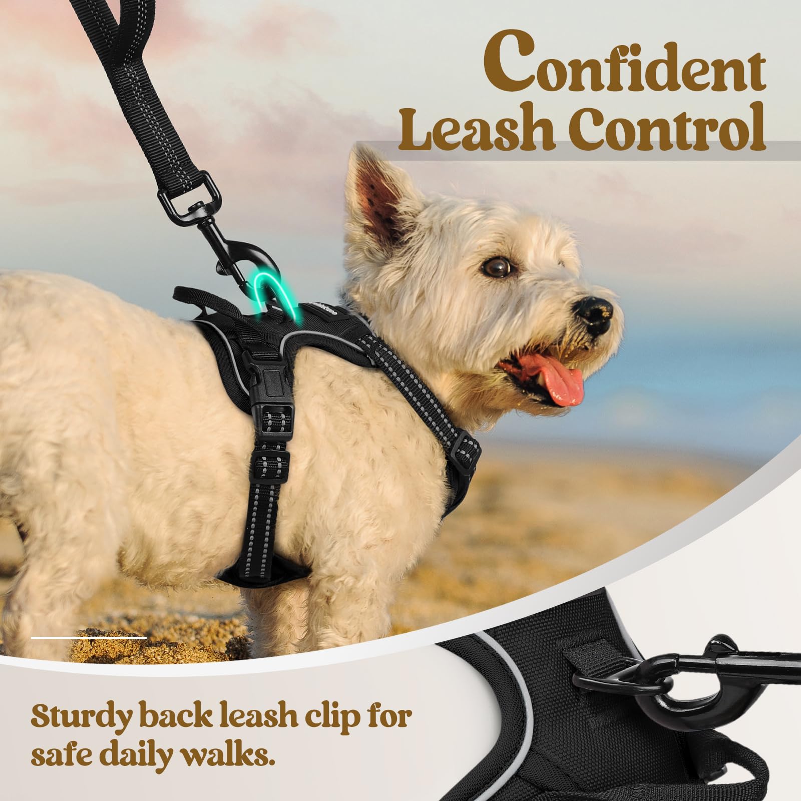 Rabbitgoo overhead harness design makes on/off quick and simple