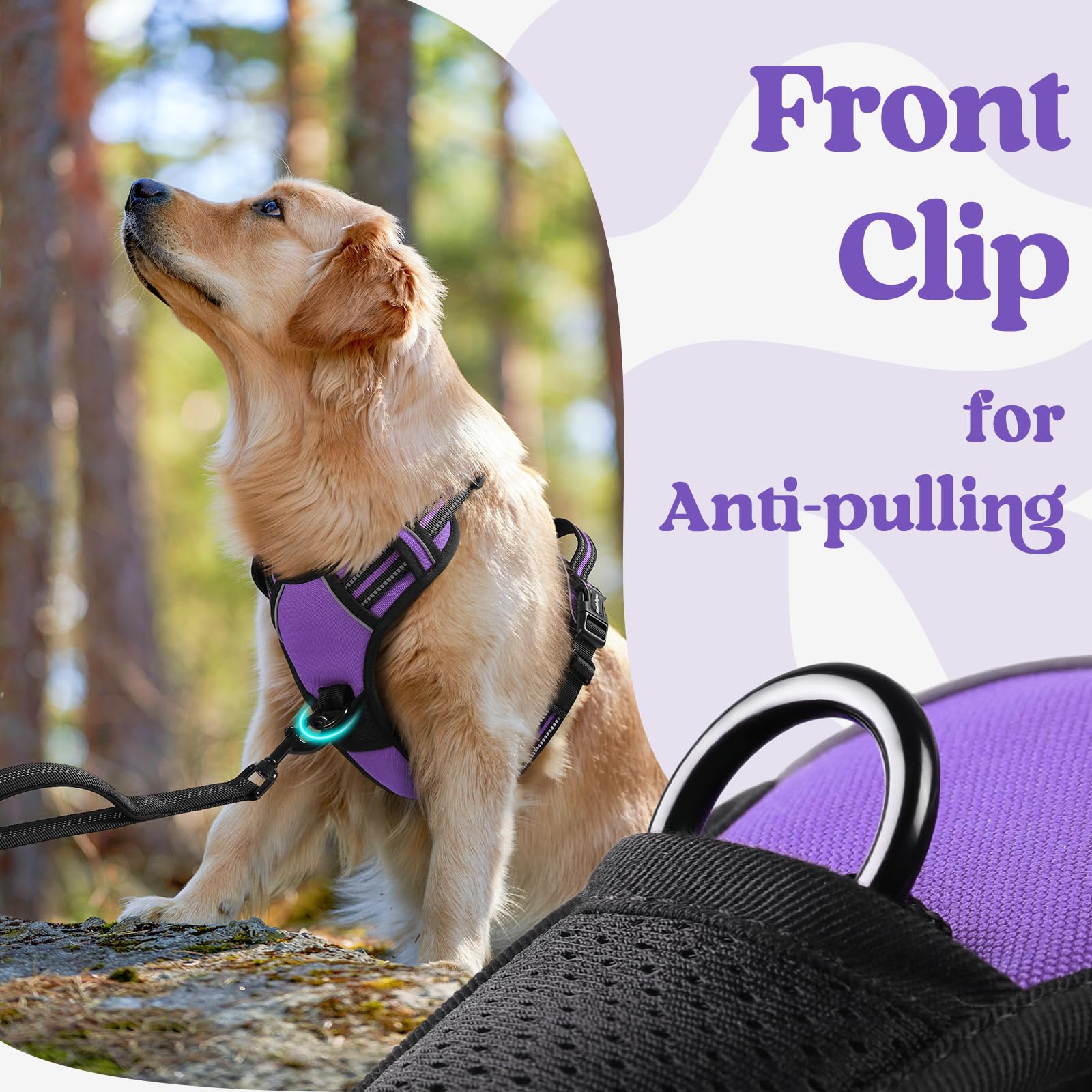 rabbitgoo padded edges minimize irritation during long, active outings