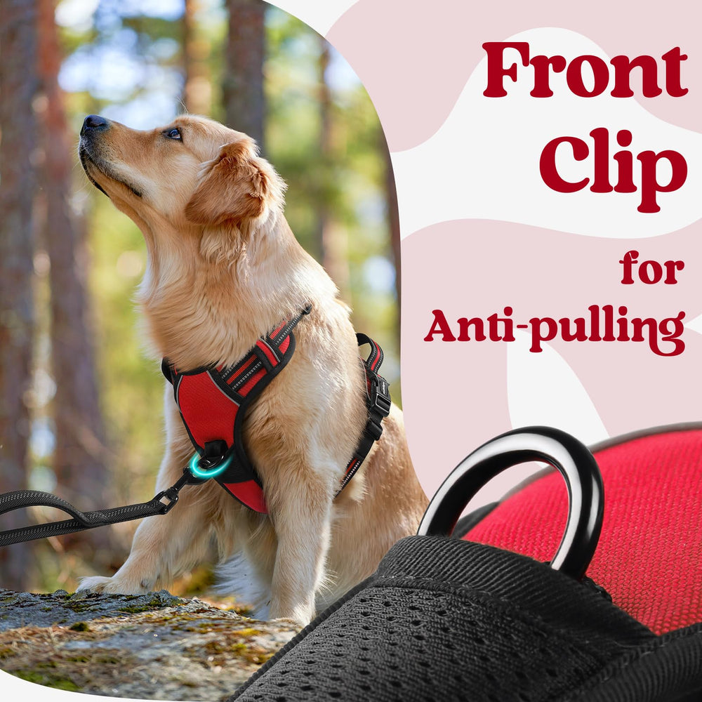 Rabbitgoo padded edges prevent irritation for all-day wear.