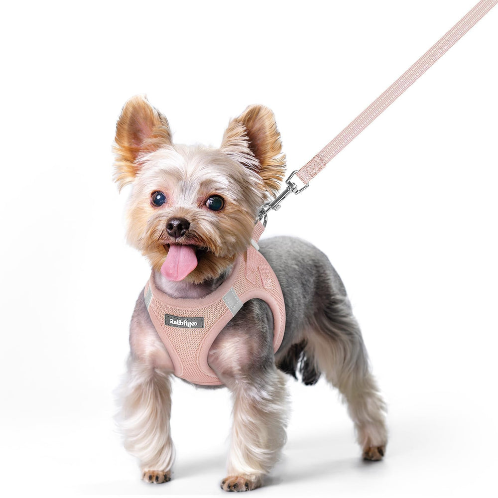 Rabbitgoo dog harness pink XS step-in demonstrates easy, secure fit for small dogs.