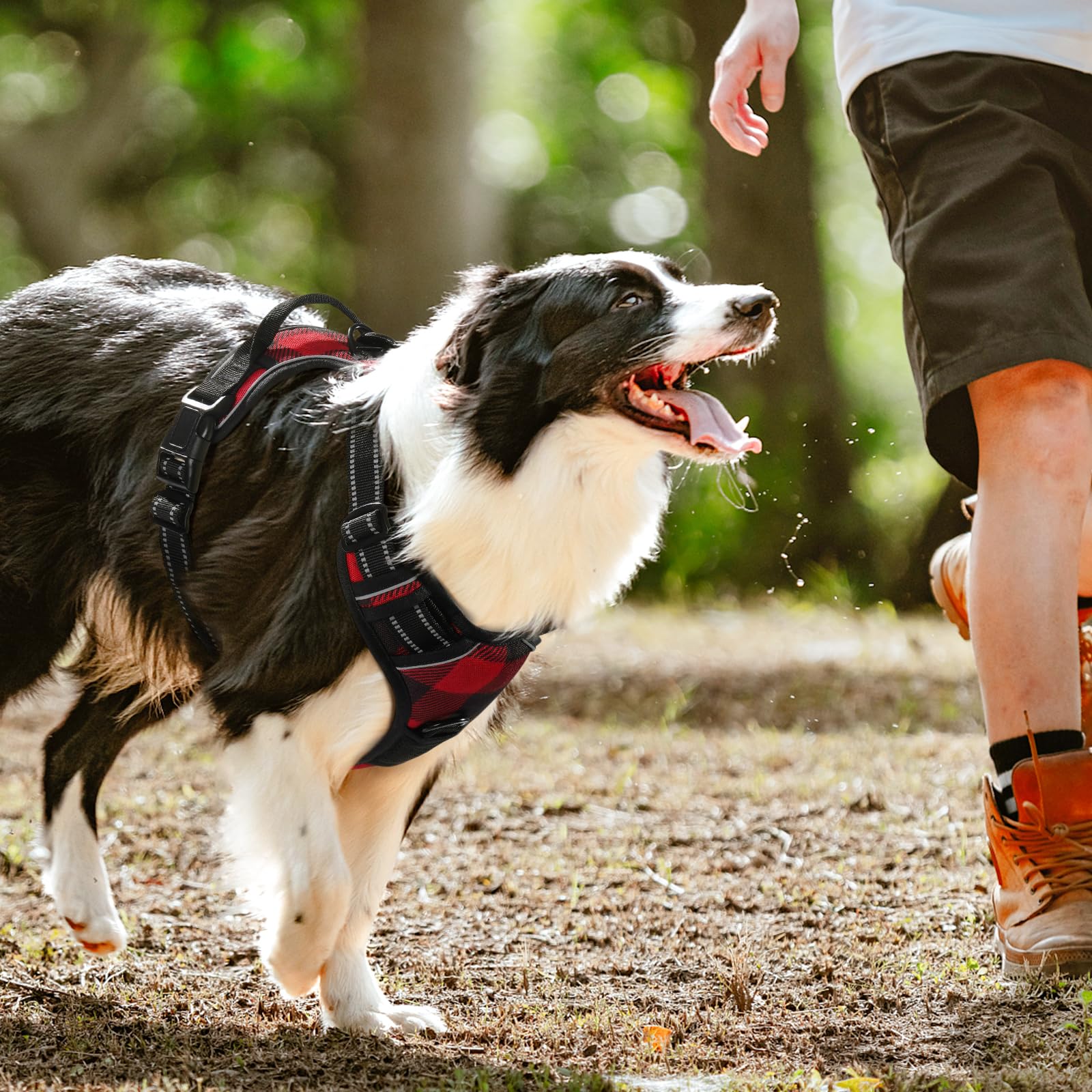 rabbitgoo dog harness red plaid pattern adds stylish visibility during walks