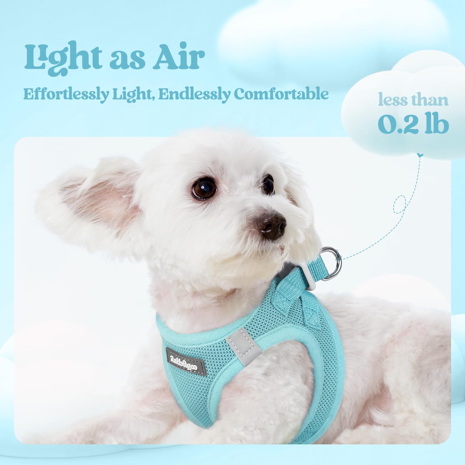 rabbitgoo dog harness reflective bands mint blue close-up emphasizes visibility during evening walks