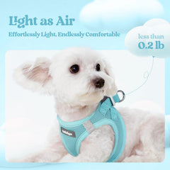 rabbitgoo dog harness reflective bands mint blue close-up emphasizes visibility during evening walks