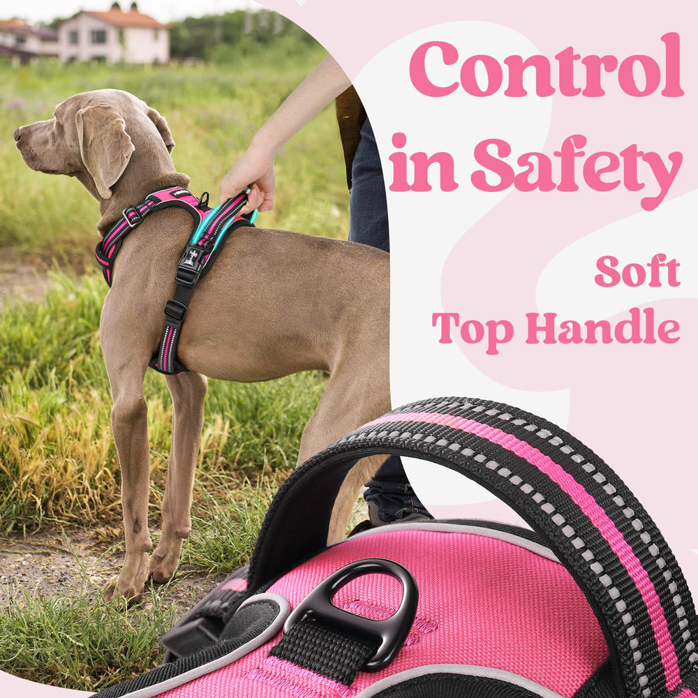 Rabbitgoo dog harness reflective stitching supports safer night-time visibility