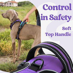 rabbitgoo reflective stitching enhances night-time visibility for safer evening walks