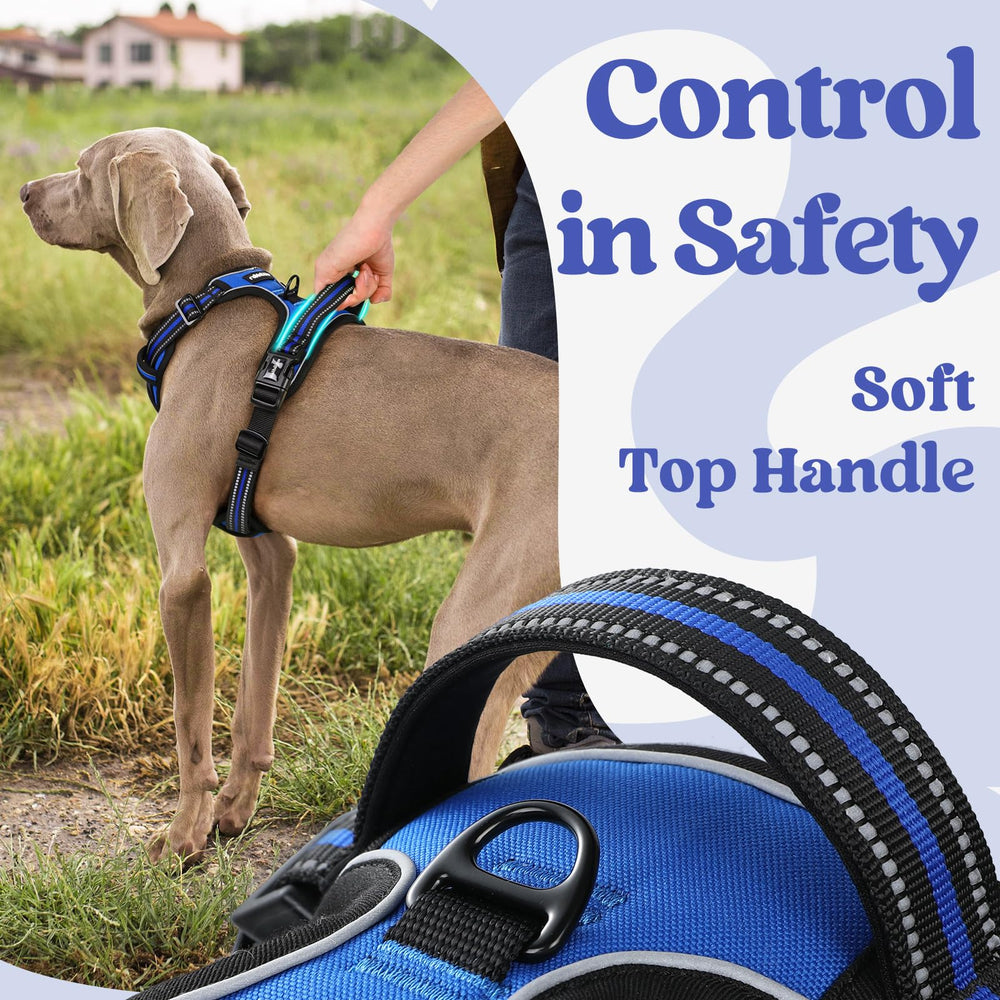 Rabbitgoo harness highlights broad reflective stitching for visibility at night.