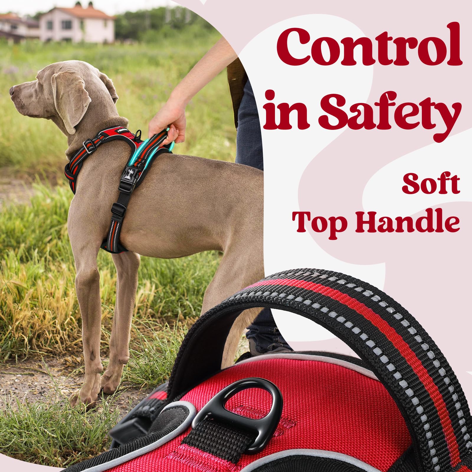 Rabbitgoo harness reflective stitching boosts visibility during night walks.