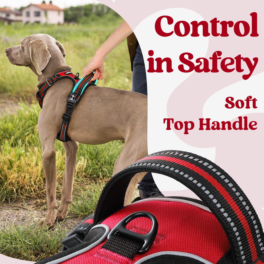 Rabbitgoo harness reflective stitching boosts visibility during night walks.