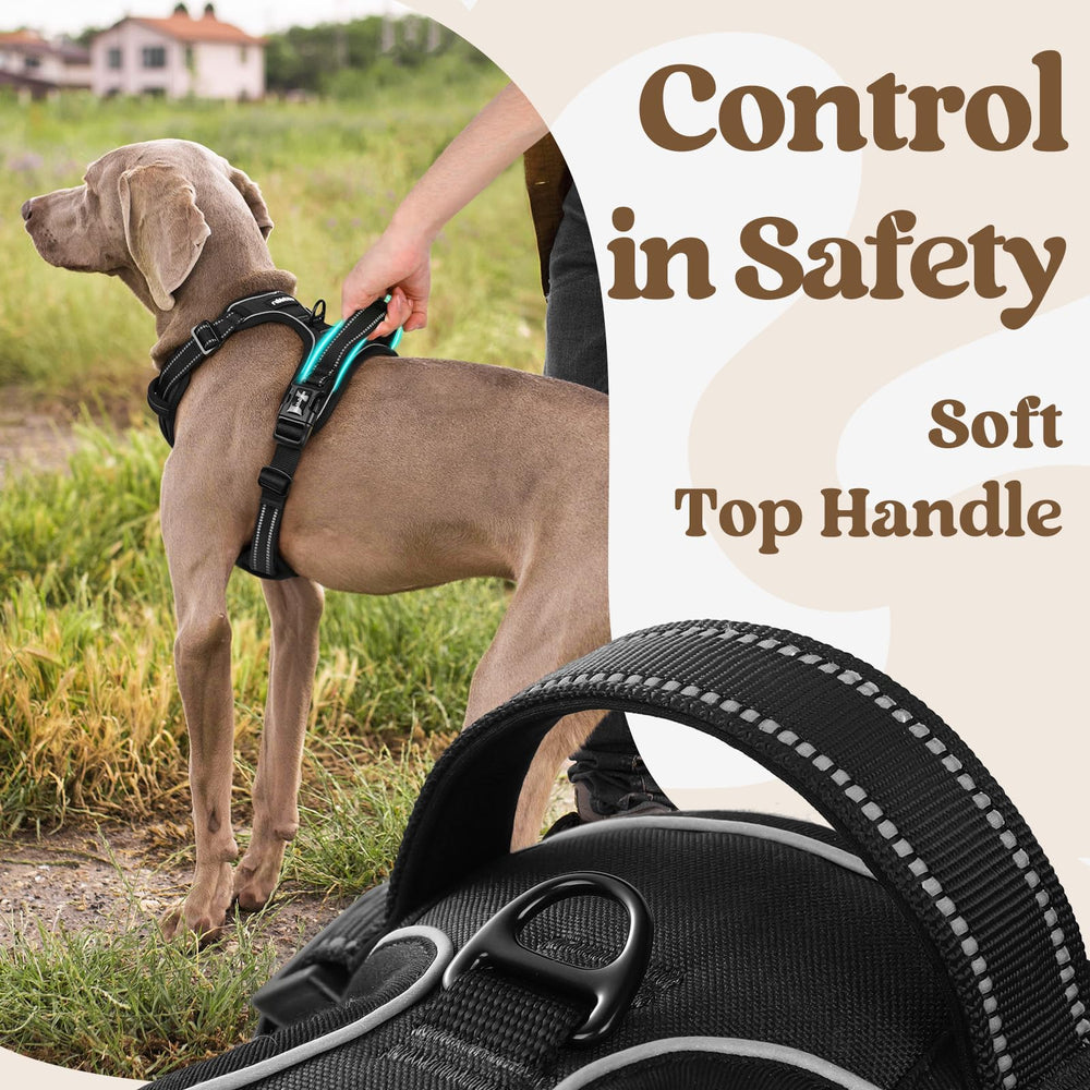 Rabbitgoo reflective stitching boosts nighttime visibility for safer walks.