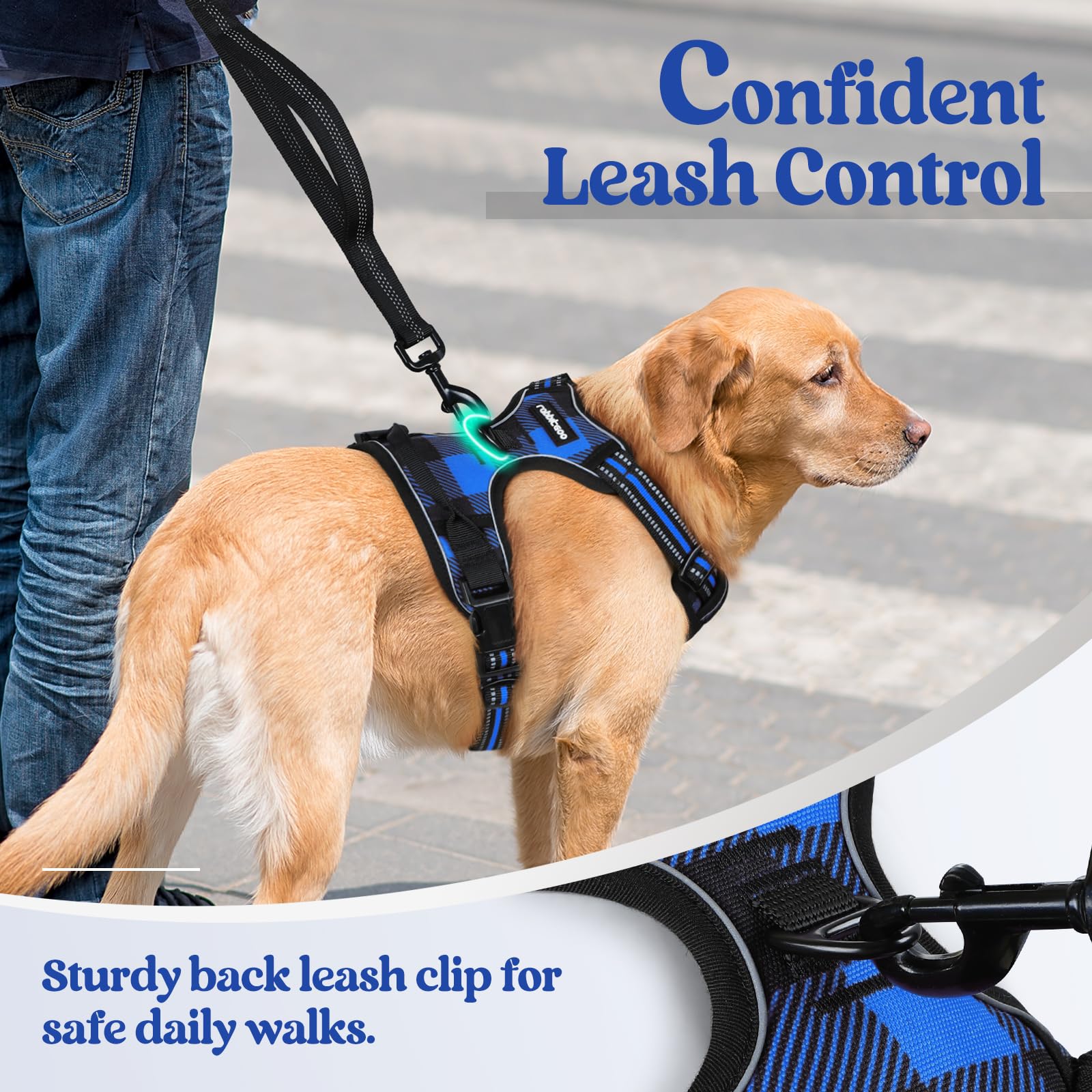 Rabbitgoo reflective harness enhances night visibility during evening walks.