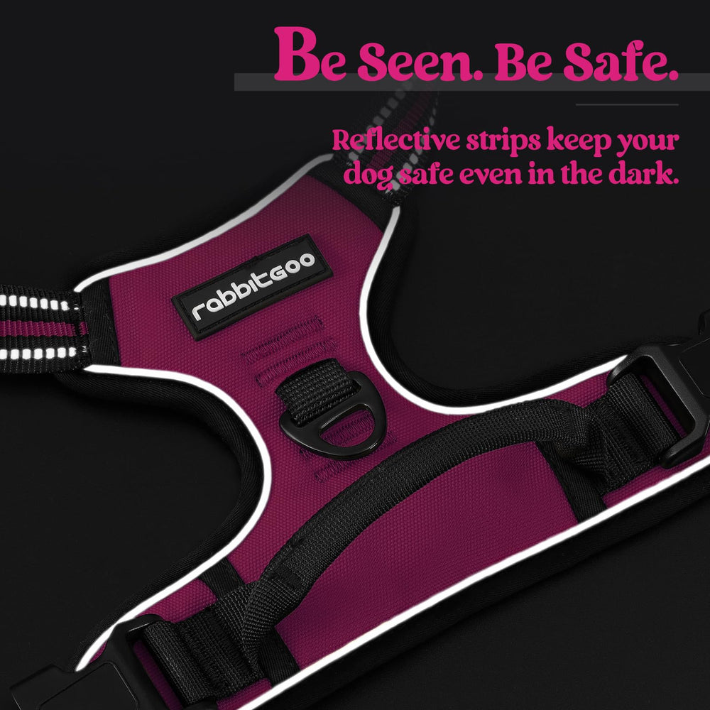 Rabbitgoo reflective strips enhance night-time visibility during walks.