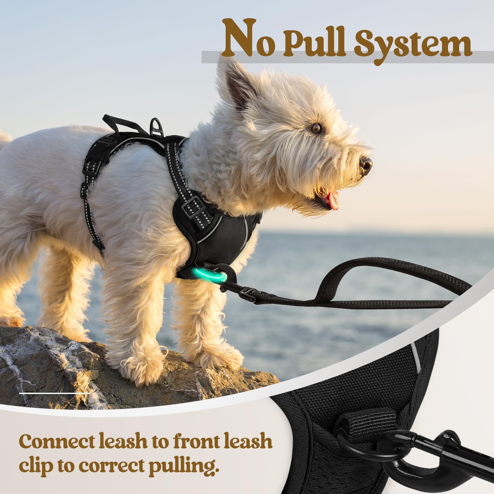 Rabbitgoo harness reflective strips enhance visibility during dawn walks