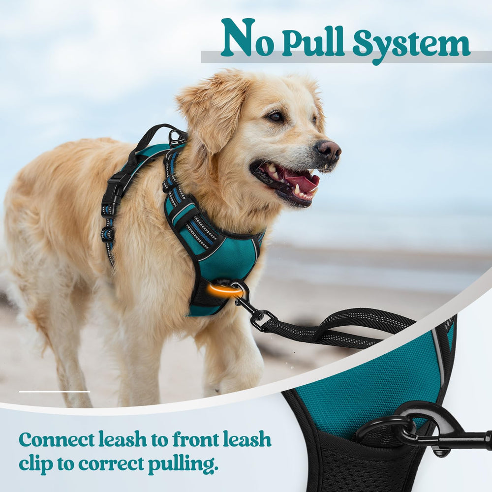 Rabbitgoo dog harness reflective strips improve visibility at dawn or dusk.
