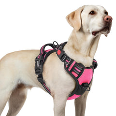 Rabbitgoo dog harness back view shows 3-buckle design for quick on/off