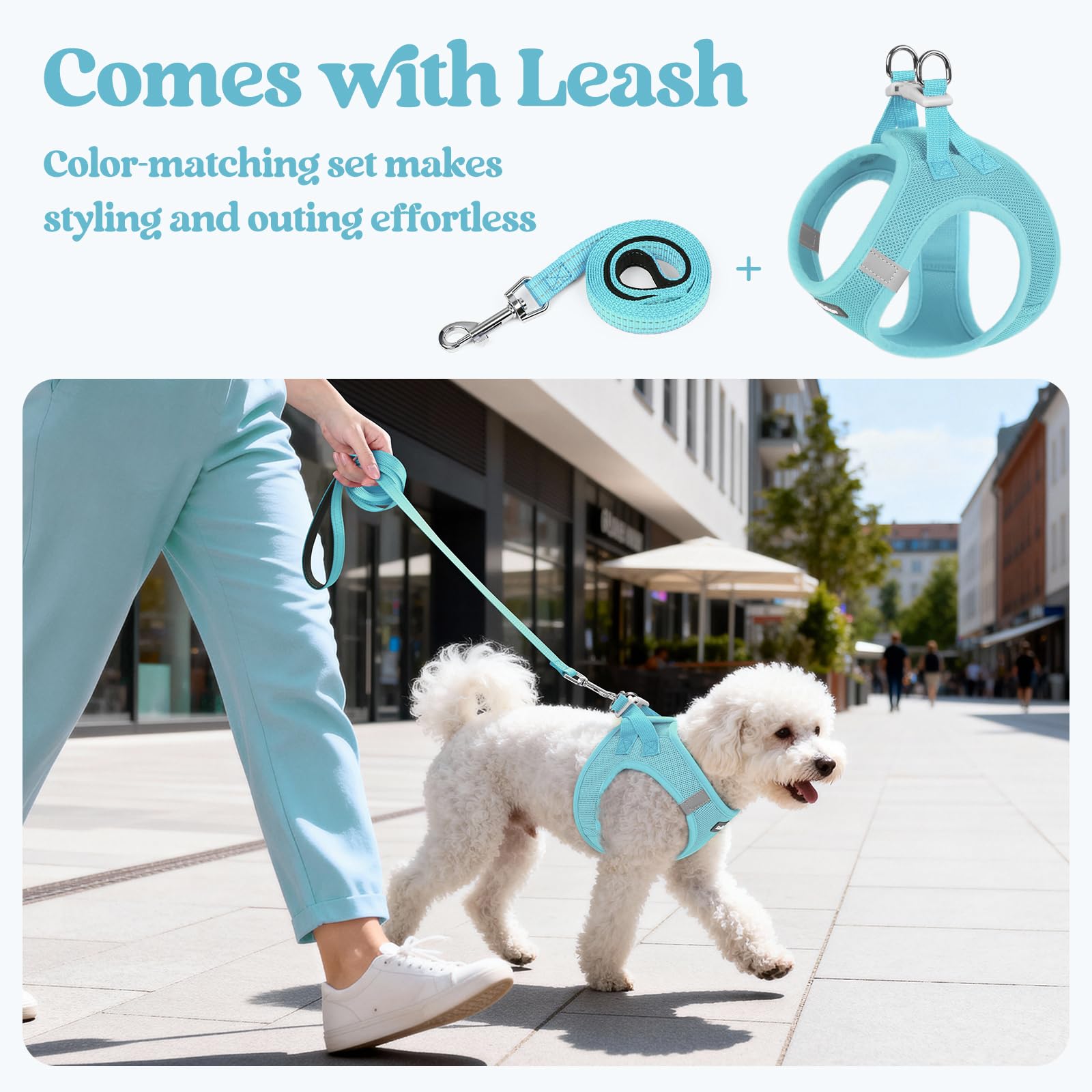 rabbitgoo dog harness size chart mint blue illustration helps choose the right fit