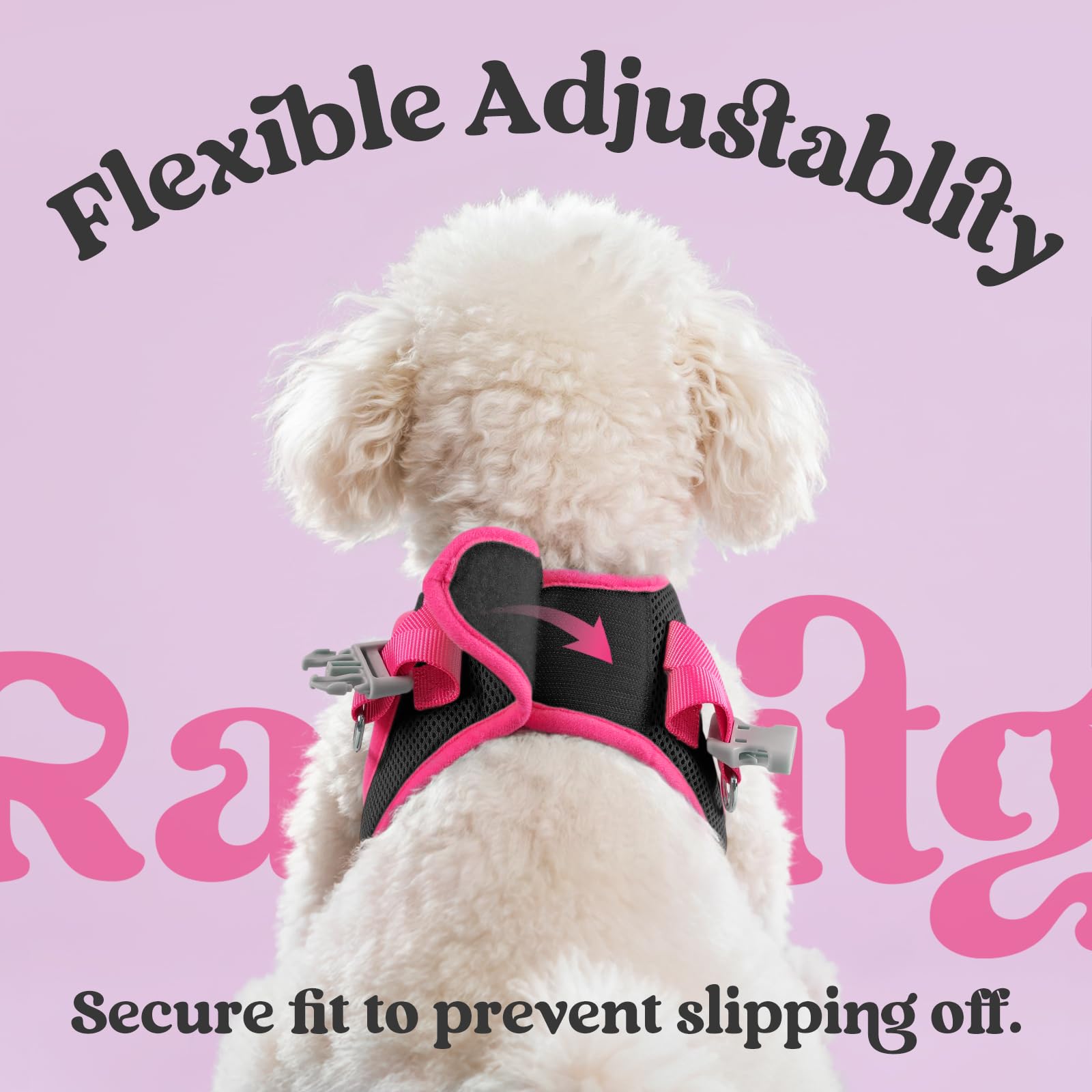 Rabbitgoo breathable mesh keeps dogs cool during daily wear.