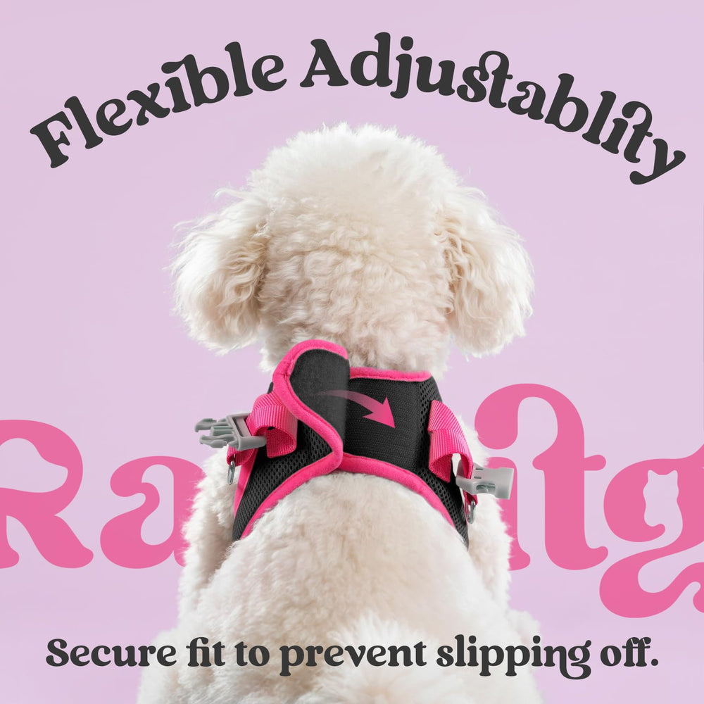 Rabbitgoo breathable mesh keeps dogs cool during daily wear.