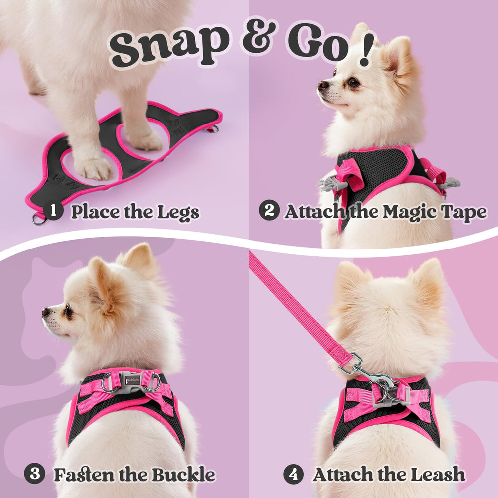 Rabbitgoo dog harness small size front view highlighting breathable mesh comfort.