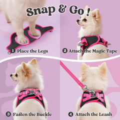 Rabbitgoo dog harness small size front view highlighting breathable mesh comfort.