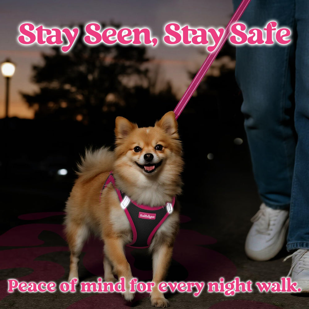 Rabbitgoo reflective strips boost visibility during dusk walks.