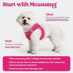 Rabbitgoo dog harness small soft mesh for maximum airflow keeps your pup cool.