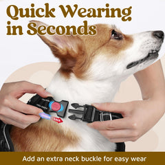 Rabbitgoo dog harness soft air mesh for all day comfort