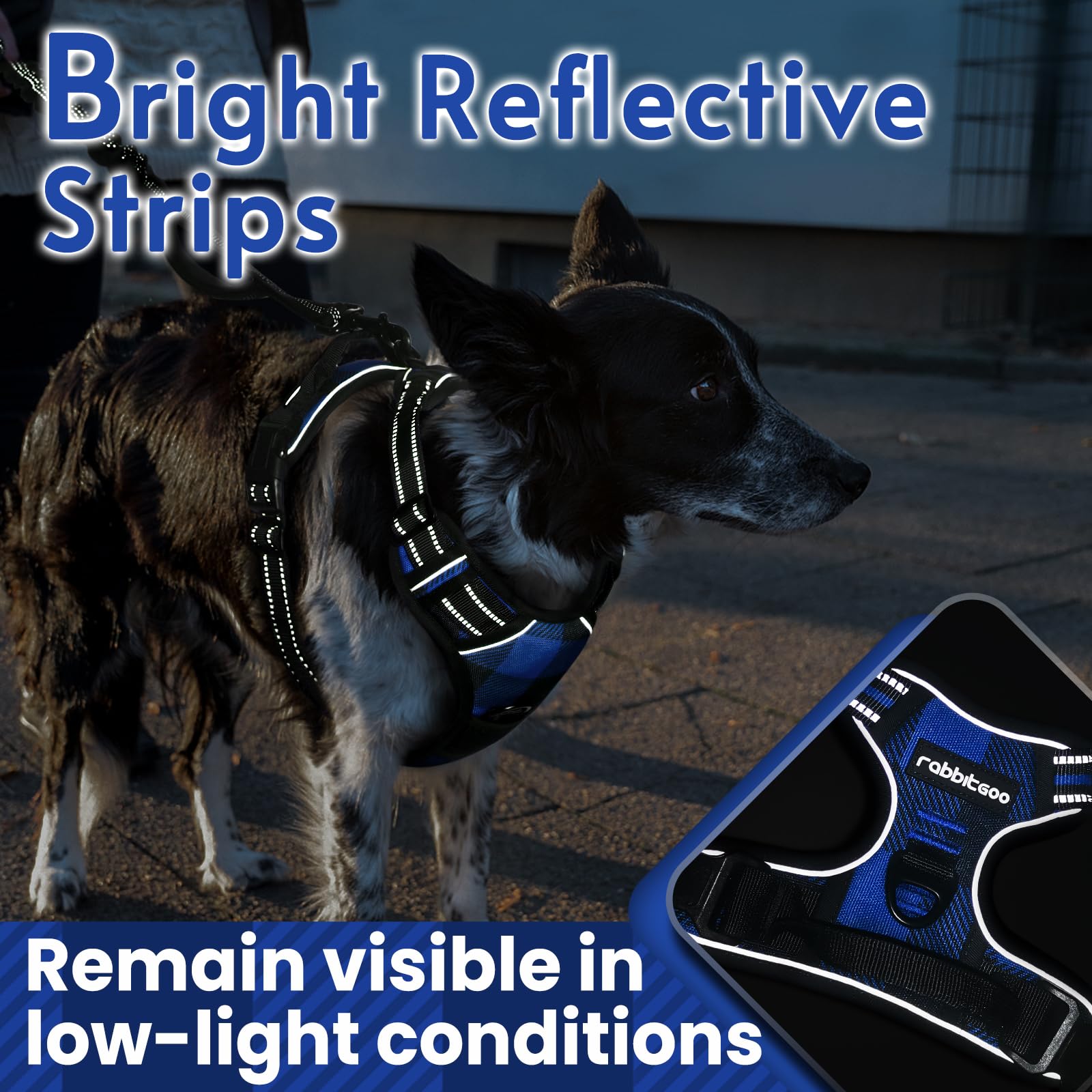 rabbitgoo dog harness breathable mesh and padding reduces skin irritation