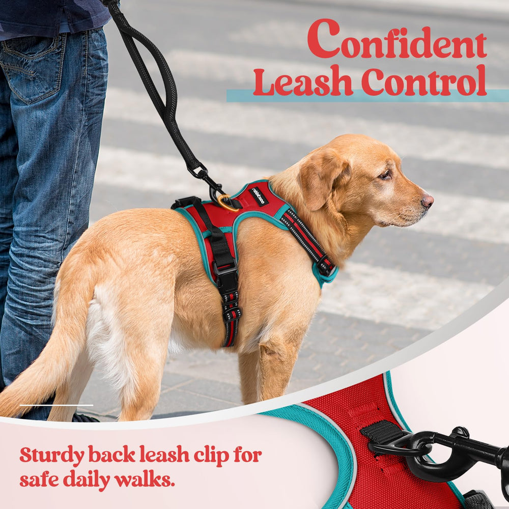 Rabbitgoo soft padding and breathable mesh keep dogs comfy outdoors.