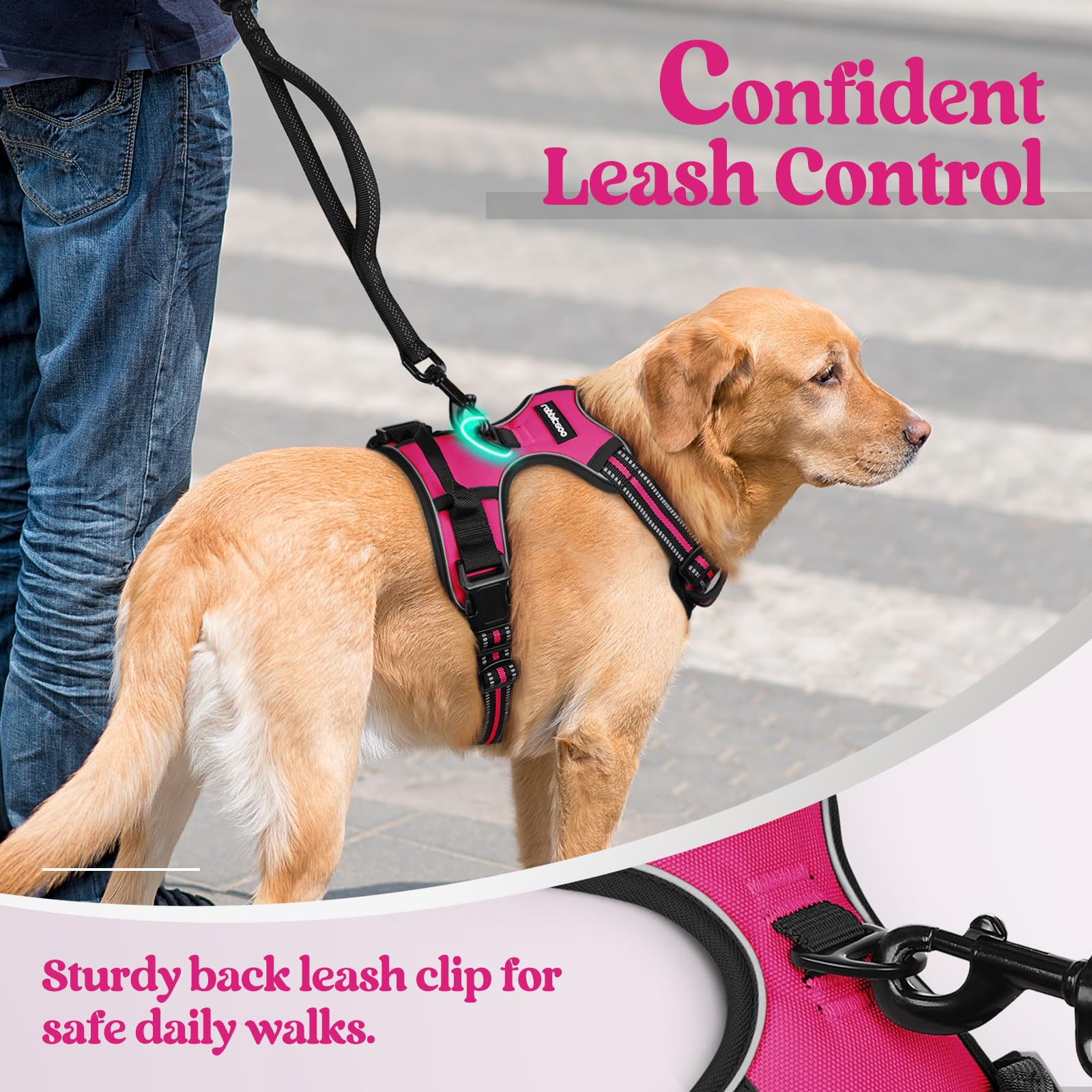 Rabbitgoo soft-padding and breathable mesh keeps dogs comfortable outdoors.