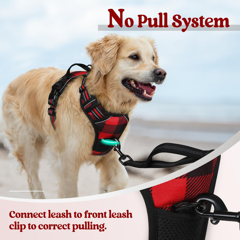 rabbitgoo dog harness soft padding closeup highlighting comfortable protection