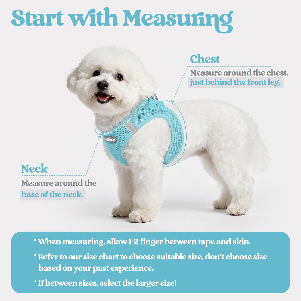 rabbitgoo dog harness mint blue side fit demonstrates adjustable strap for a secure, personalized feel