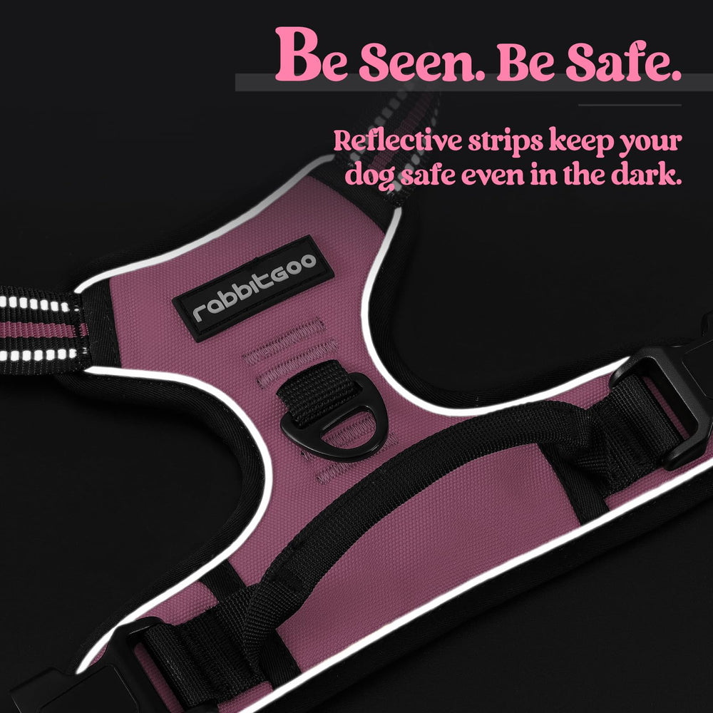 Rabbitgoo top-handle provides added control during pauses