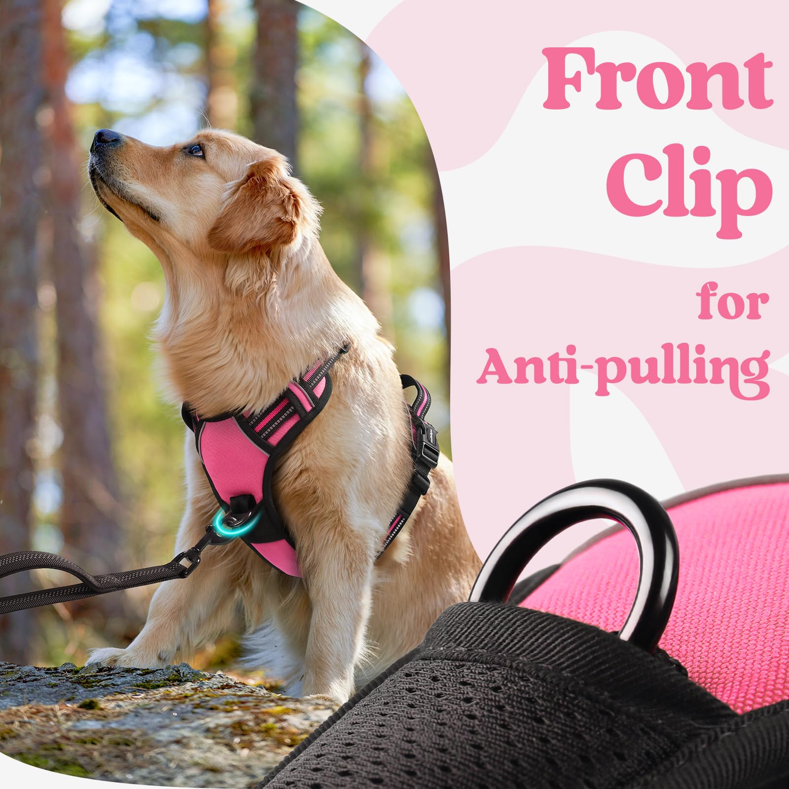 Rabbitgoo top-handle provides controlled lifting and handling