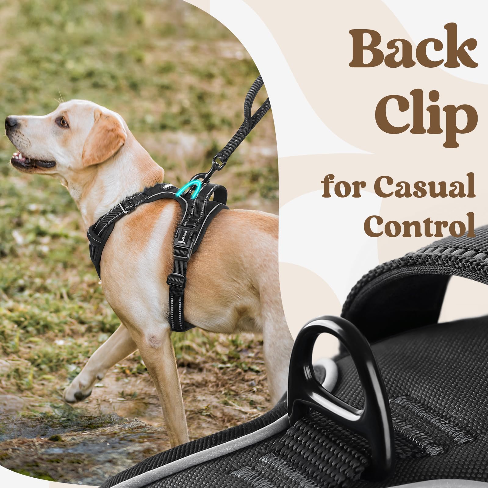 Rabbitgoo top-handle provides easy control during training or handling.