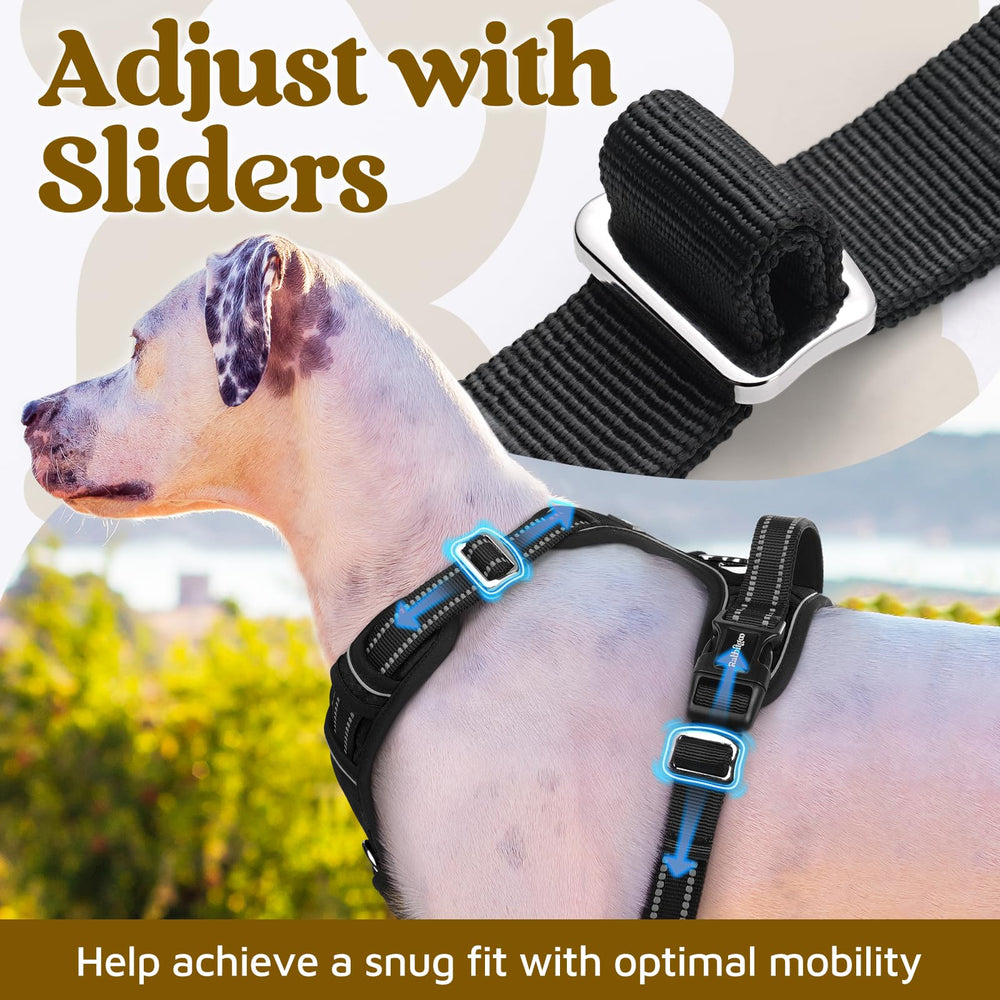 Rabbitgoo harness top handle provides secure grip during outdoor activities