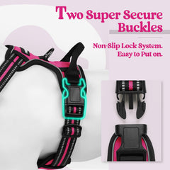 Rabbitgoo two-leash-rings back-clip design for versatile walks.