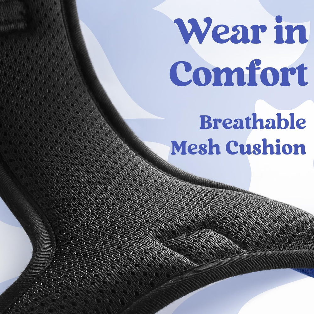 Rabbitgoo harness includes two metal leash attachment points for versatile training.