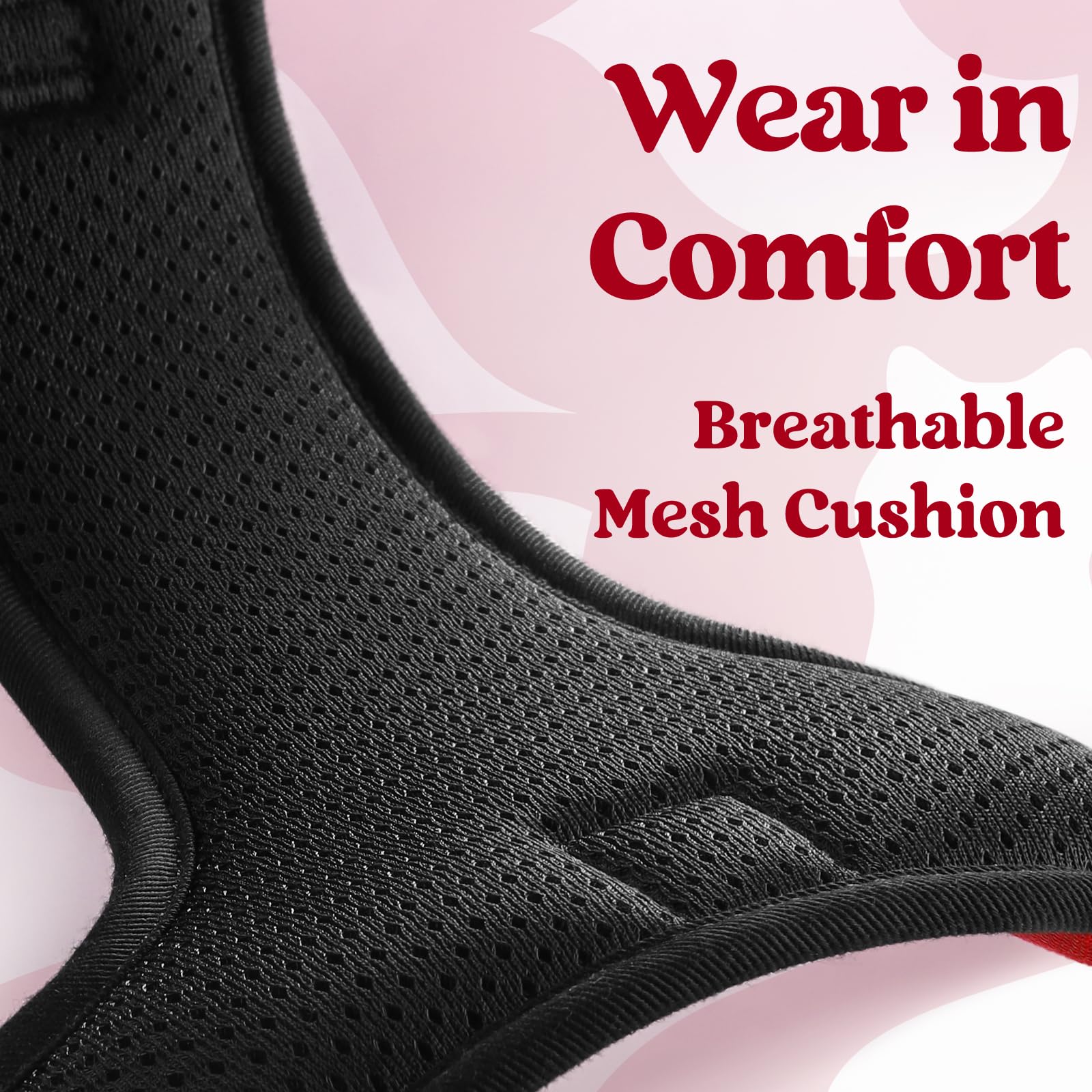 Rabbitgoo wide top handle supports training and extra control.