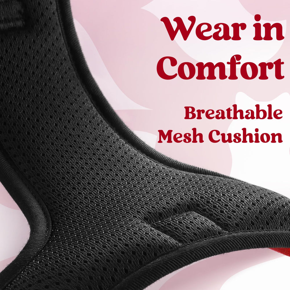 Rabbitgoo wide top handle supports training and extra control.