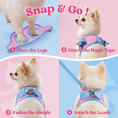 Rabbitgoo dog harness XS lightblue breathable mesh keeps small dogs cool.